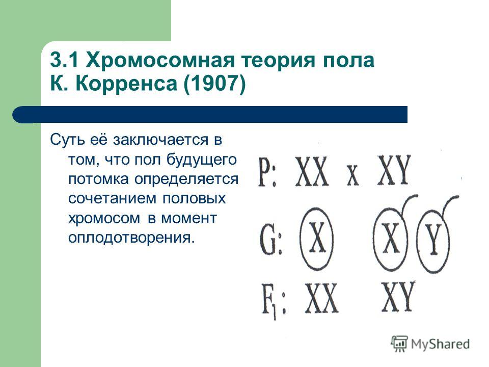 Душевные поздравления с Днем рождения Душевное поздравление с днем рождения в прозе