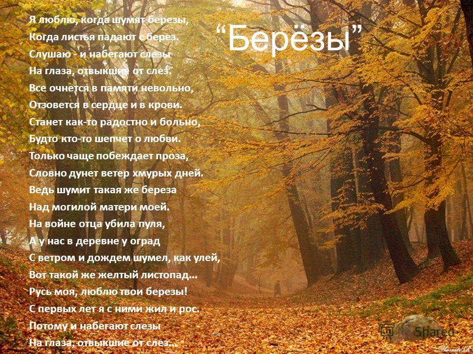 Стих береза поэт Стих береза поэт