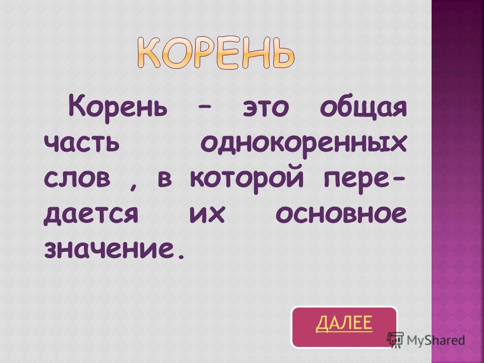 Корень это часть цветка Корень это часть цветка
