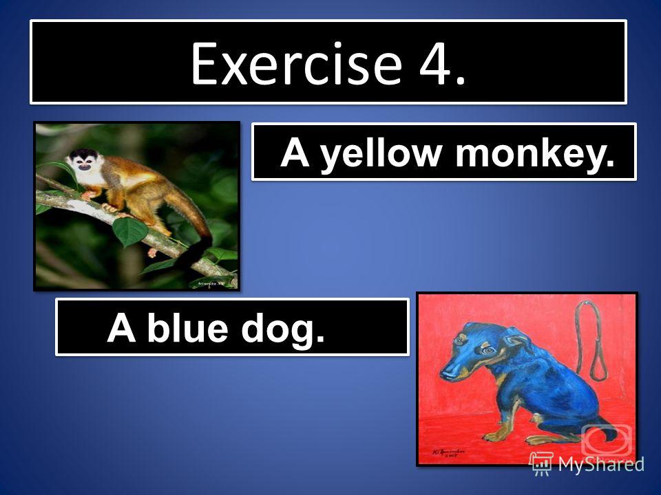 Exercise 4 (прослушай разговор) A green crocodile. An orange lion.
