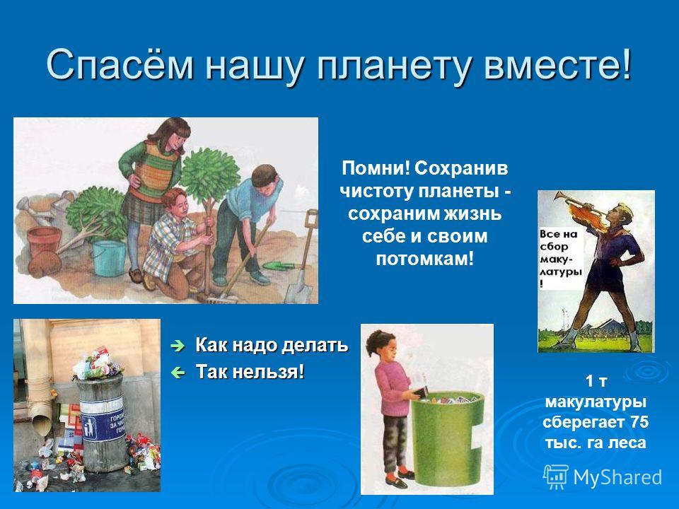 Что я делаю чтобы сохранить природу в городе
