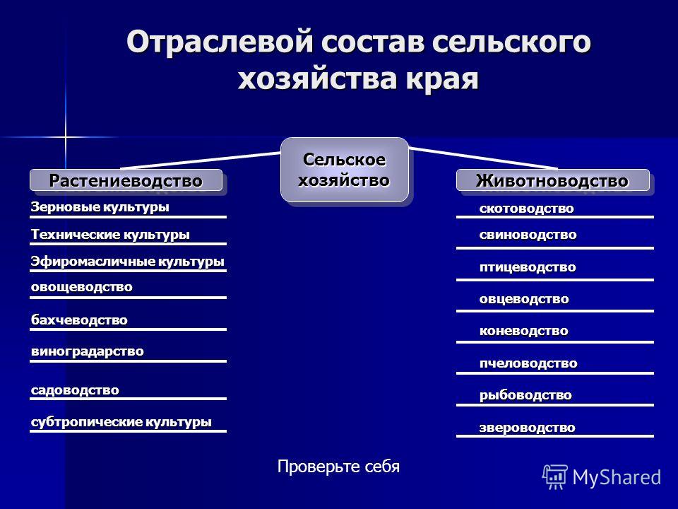 Шоу рум одежды. Интернет магазин модной одежды Шаг 4. Вышивание - - вышивка