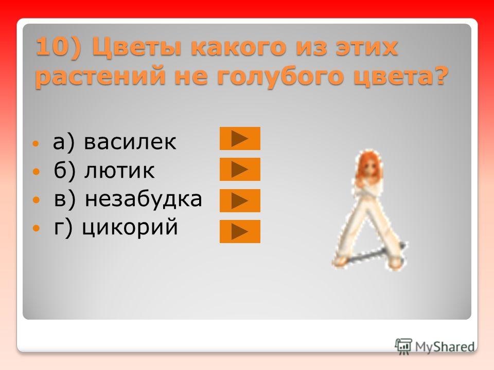 Цветок который цветет оранжевыми цветами Цветок который цветет оранжевыми цветами