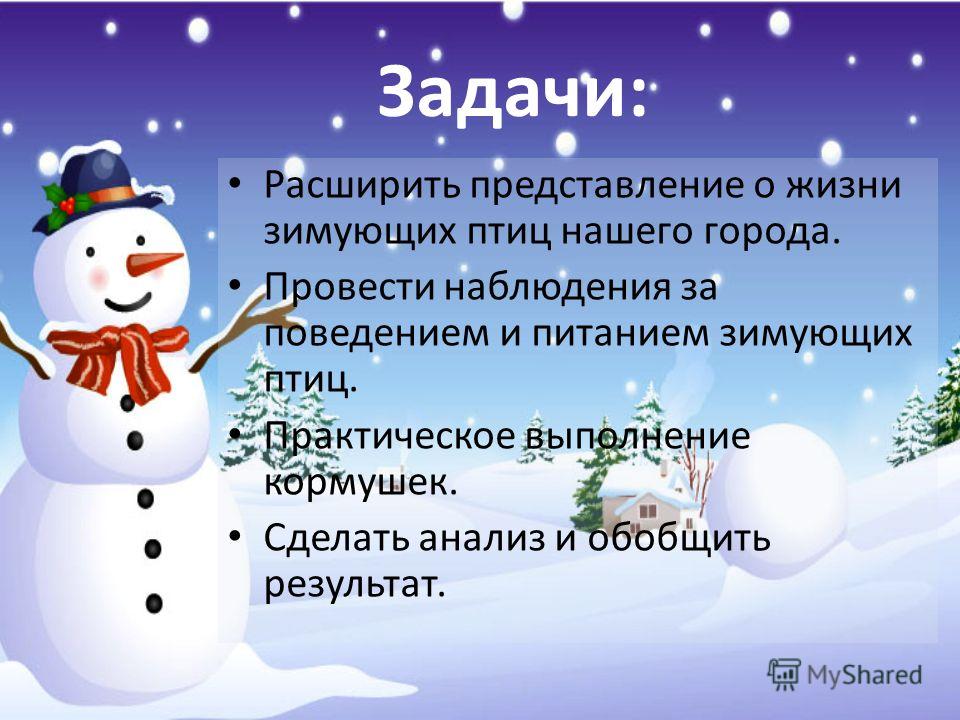 Питание зимующих птиц картинки Питание зимующих птиц картинки