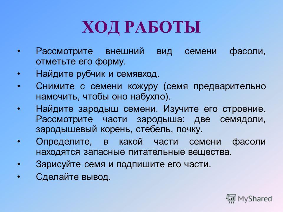 Где находится запас питательных веществ у фасоли ясеня миндаля Где находится запас питательных веществ у фасоли ясеня миндаля