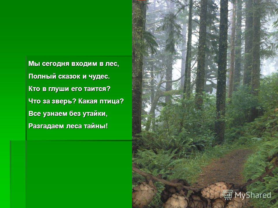 Сценарий лес чудес Сценарий лес чудес