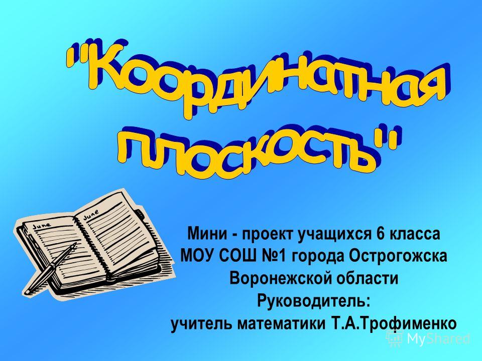 Мини проект что это