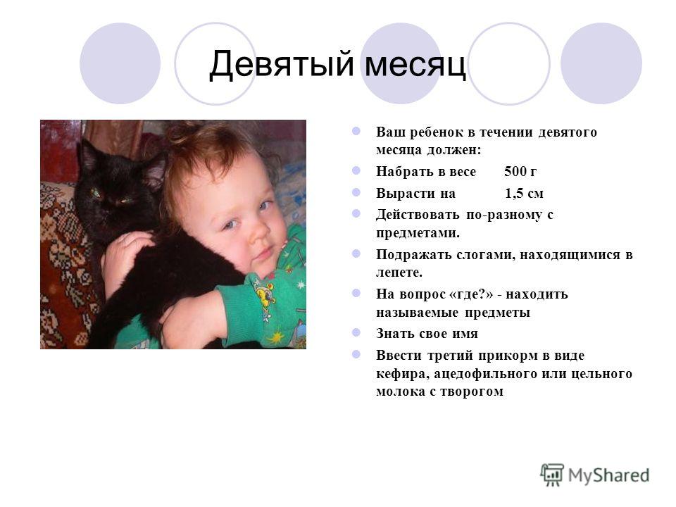 Какого размера плод 3 неделе. Третья 3 неделя беременности Как смириться со смертью кошки КатАнтик - кошки