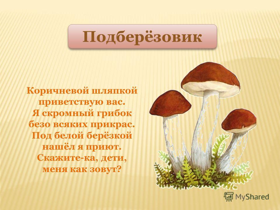В лесу осеннем в сентябре В скучный день дождливый Вырос гриб во всей красе, Важный, горделивый. Под осиной его дом, Шляпа красная на нём. Многим этот гриб знаком. Как его мы назовём? Подосиновик