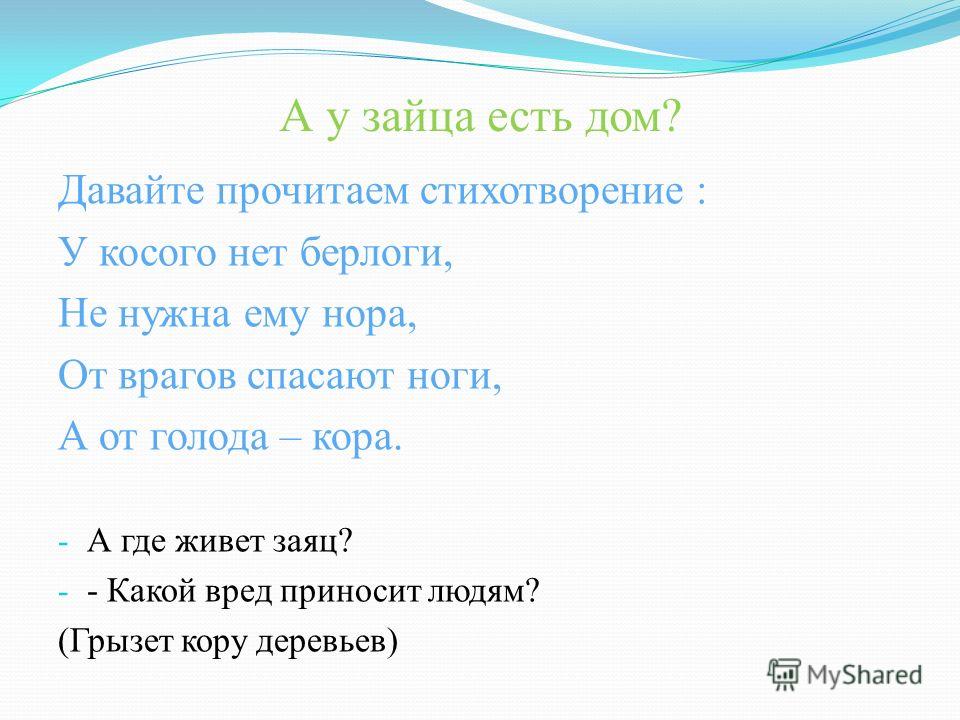 Скачать Песню про Зайца