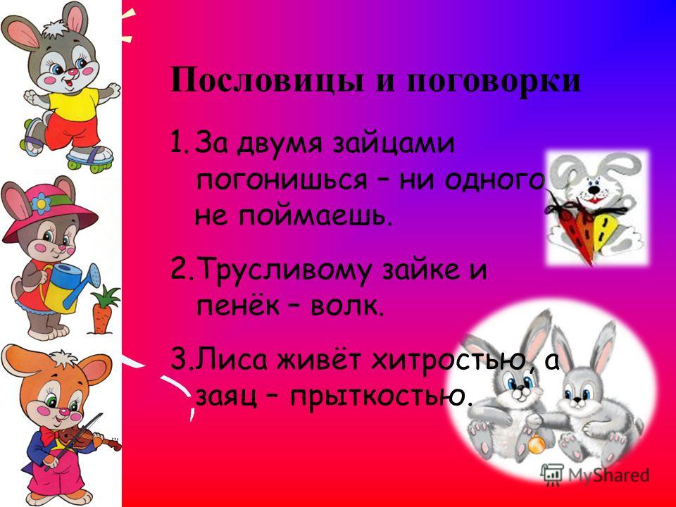Без зайца не поймаешь пословица Без зайца не поймаешь пословица