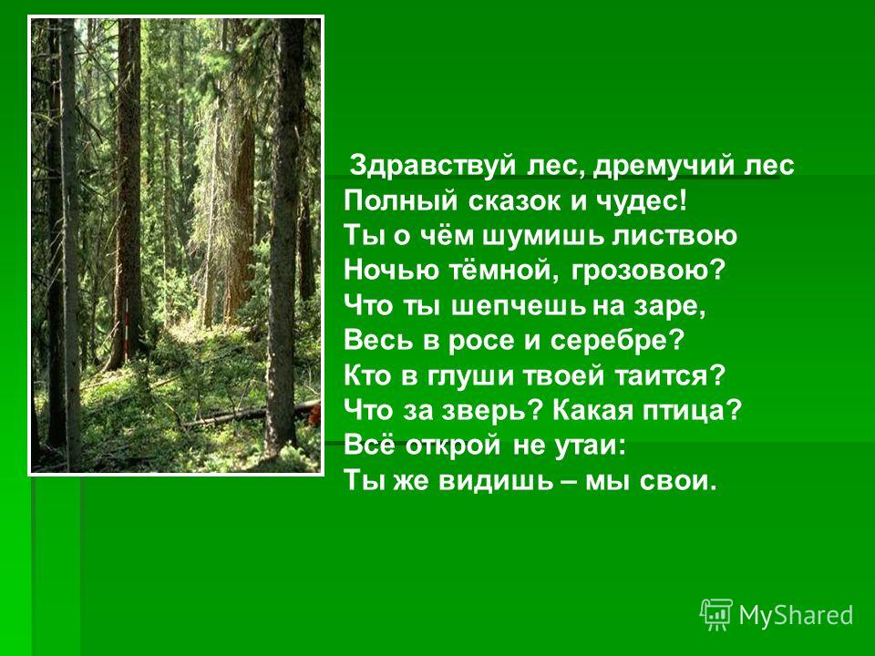 Стих в дремучем Стих в дремучем