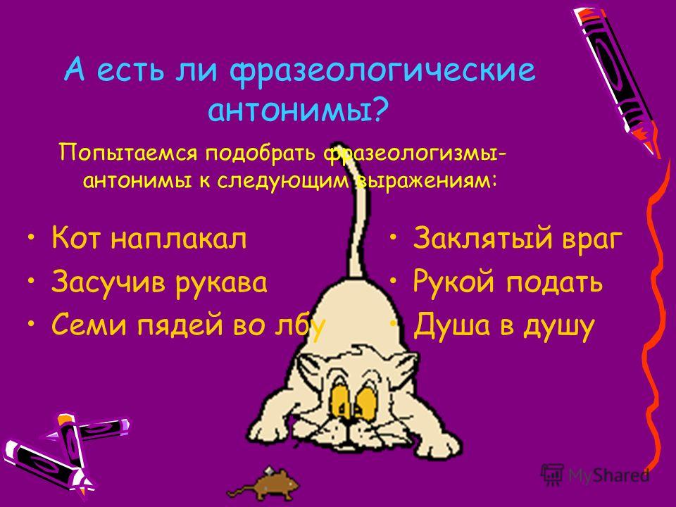 Сочинение С Фразеологизмами Засучив Рукава Сочинение С Фразеологизмами Засучив Рукава