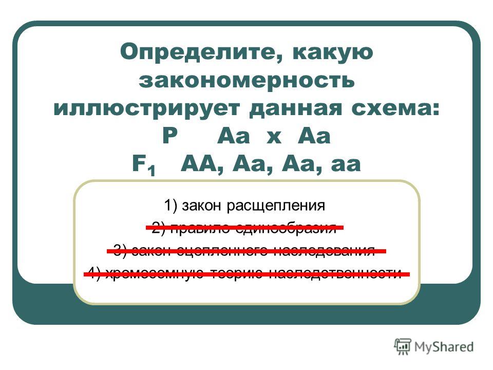 Что иллюстрирует понятие экономика в значении хозяйство Text-Books.ru