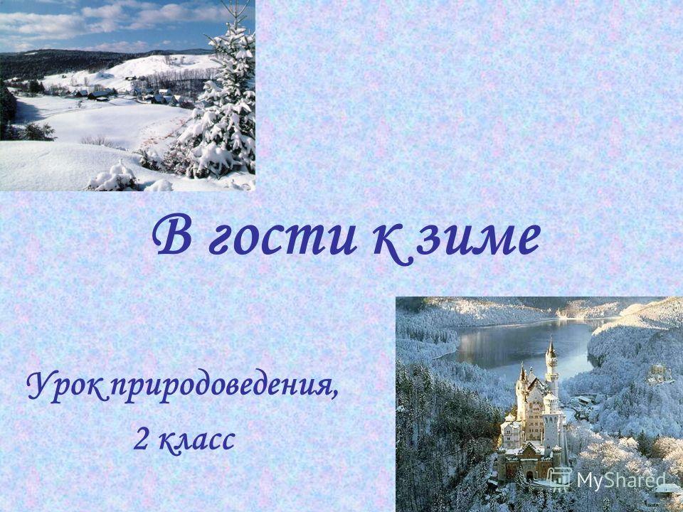 Картинки фото в гости к зиме Картинки фото в гости к зиме
