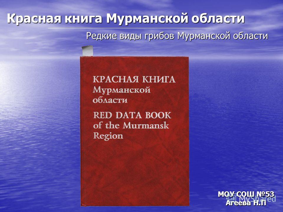 Онлайн учебник русского языка 3 класс бунеев 1 часть читать онлайн