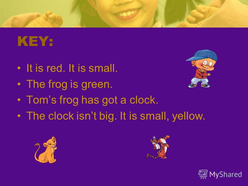 KEY: It is red. It is small. The frog is green. Toms frog has got a clock. The clock isnt big. It is small, yellow.