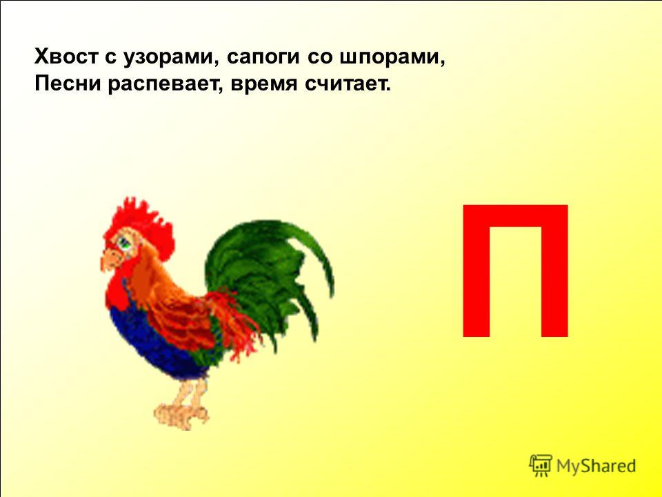 Хвост с узорами сапоги со шпорами Хвост с узорами сапоги со шпорами