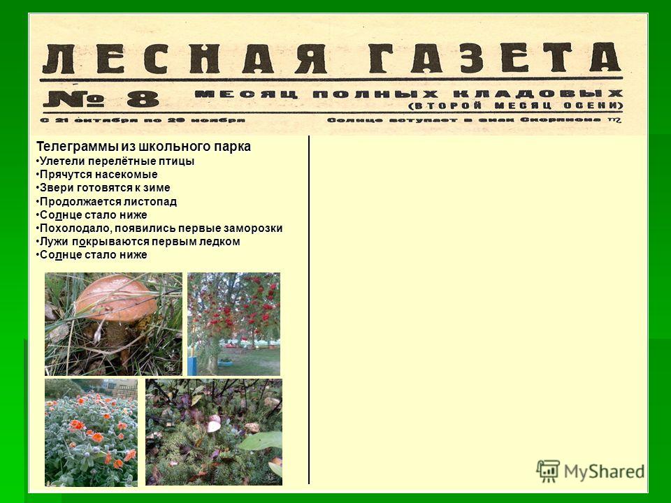 Презентация на тему: "Тема: Лесная газета. Осенние изменения в живой и ...