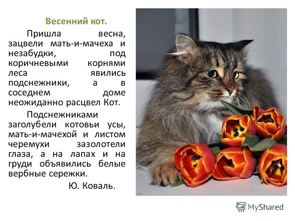 Картинки лес весной с домом Картинки лес весной с домом