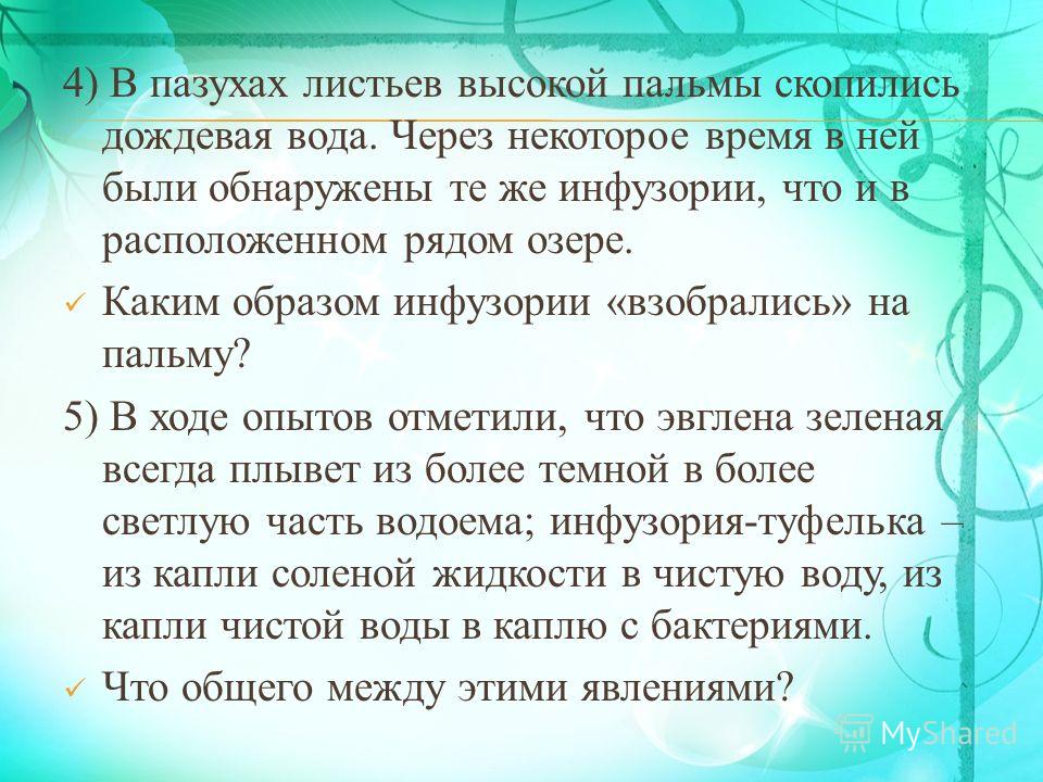 инфузории паразиты человека инфузории паразиты человека