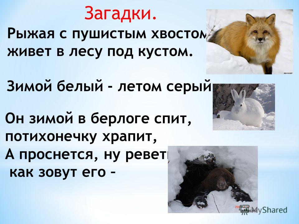 Аптека клипса от храпа