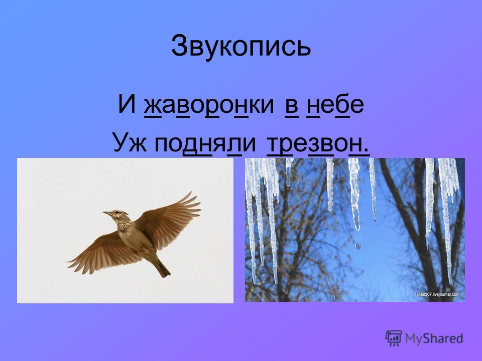 Картинки с жаворонком в небе зимой Картинки с жаворонком в небе зимой