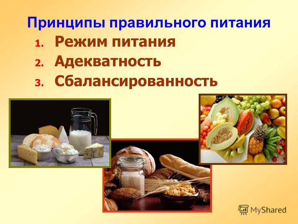 Принципы правильного питания 1. 1. Режим питания 2. 2. Адекватность 3. 3. Сбалансированность