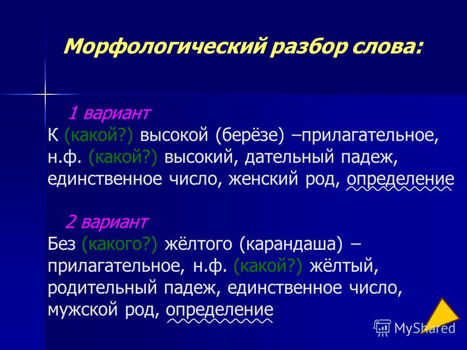 Как правильно разобрать морфологический разбор Морфологическая Ночь - 77 фото