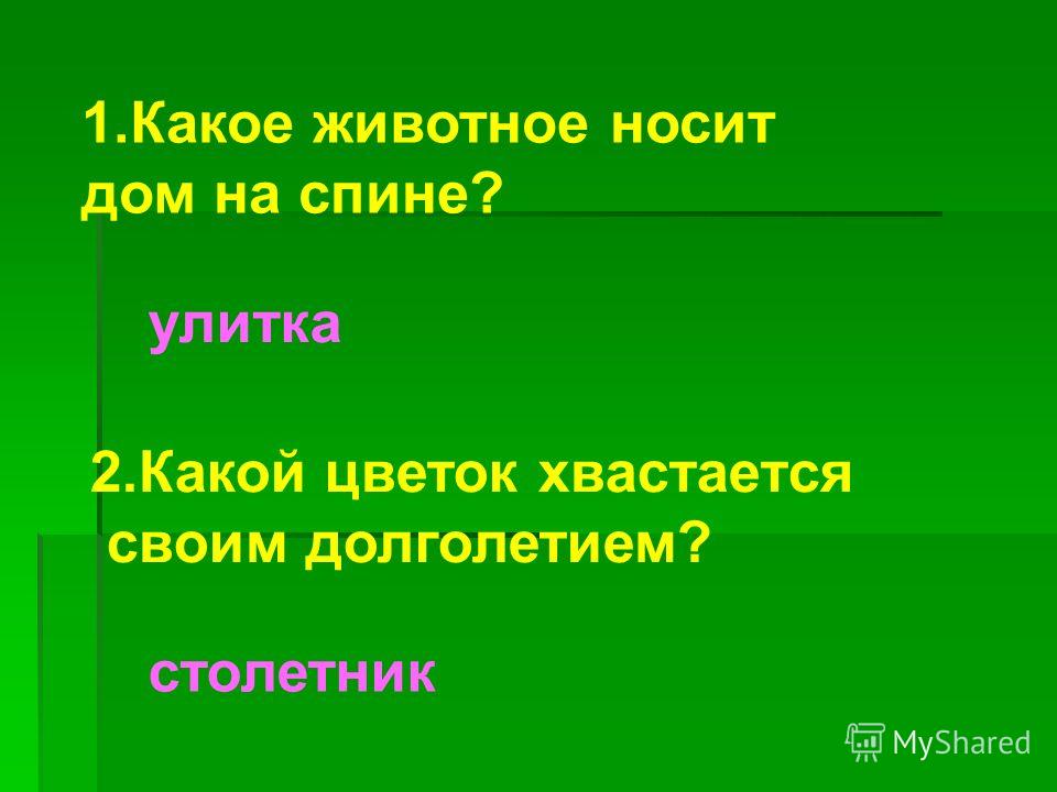 Цветок спит зимой или нет Цветок спит зимой или нет