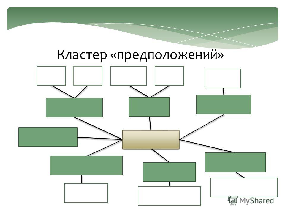 кольчатые черви паразиты человека кольчатые черви паразиты человека