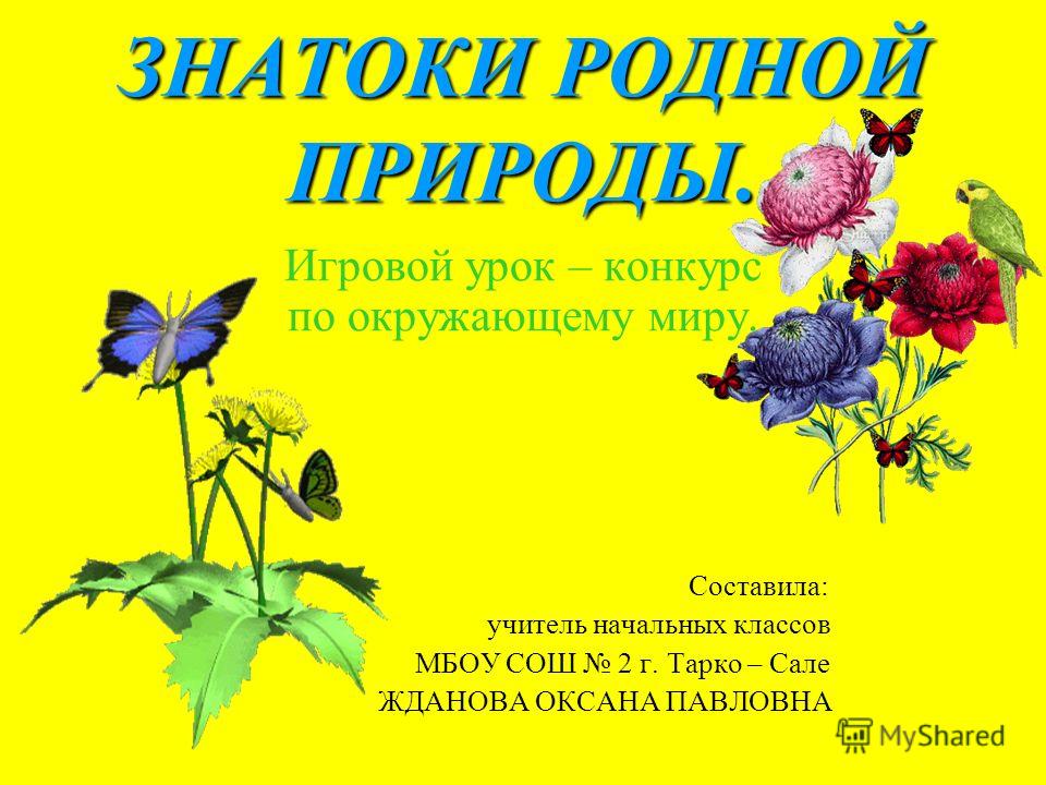 Конкурс по окружающему миру начальные классы Конкурс по окружающему миру начальные классы