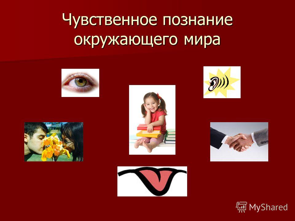 Хочу ее везде трахать