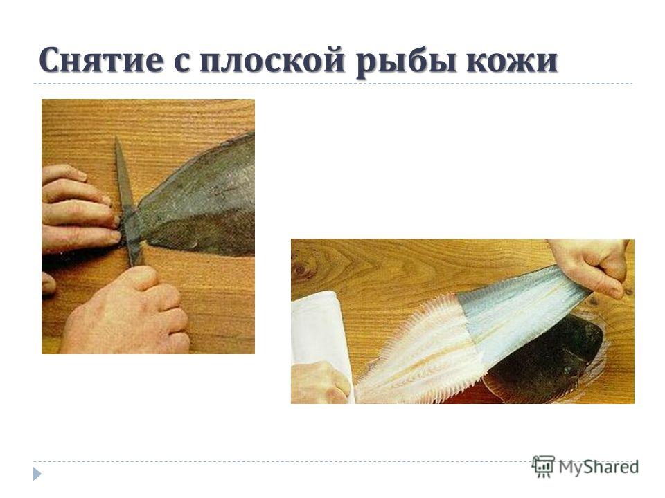 Как выделывают кожу рыбы Как выделывают кожу рыбы