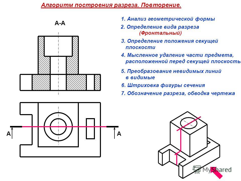 Секс Вид В Разрезе