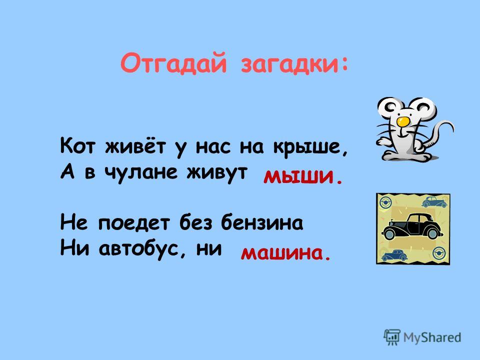 Жи ши слова примеры 2
