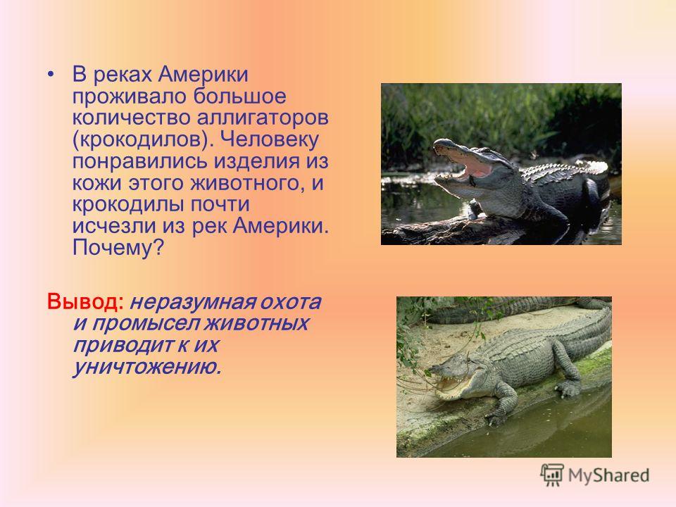 аллигатор тип развития прямое или непрямое