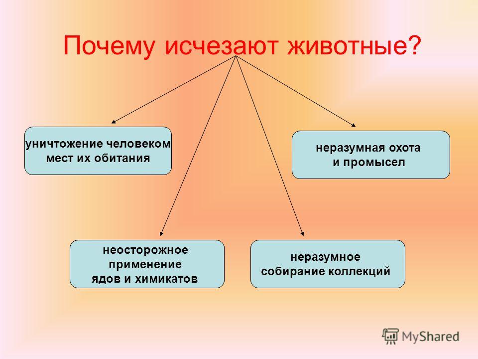 сбор трав от паразитов цена в аптеке сбор трав от паразитов цена в аптеке