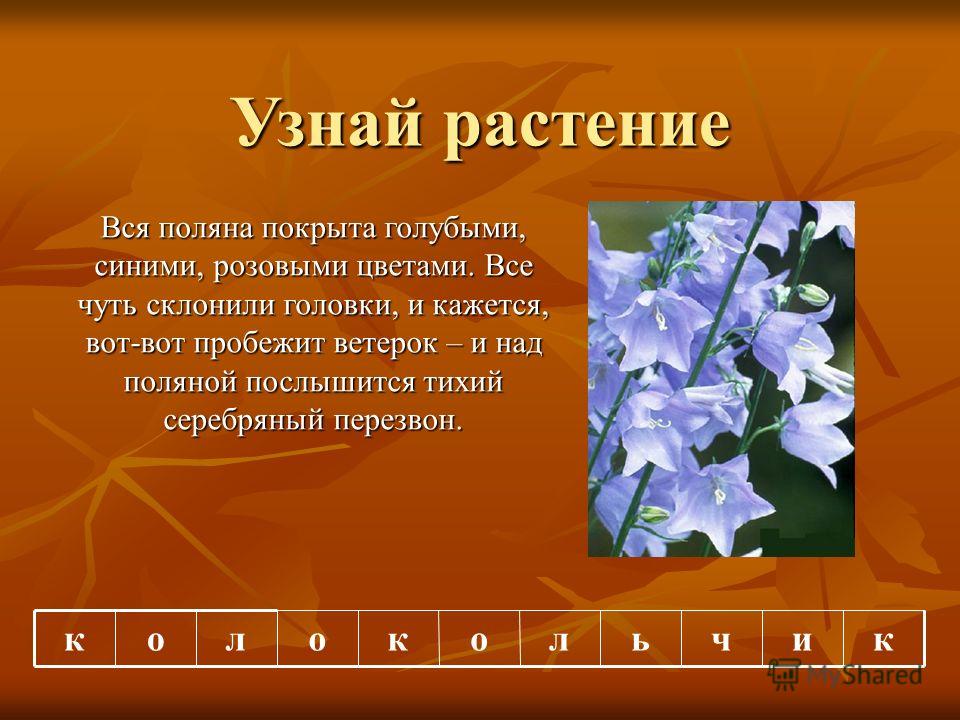 Ремонт обои своими руками фото Ремонт обои своими руками фото