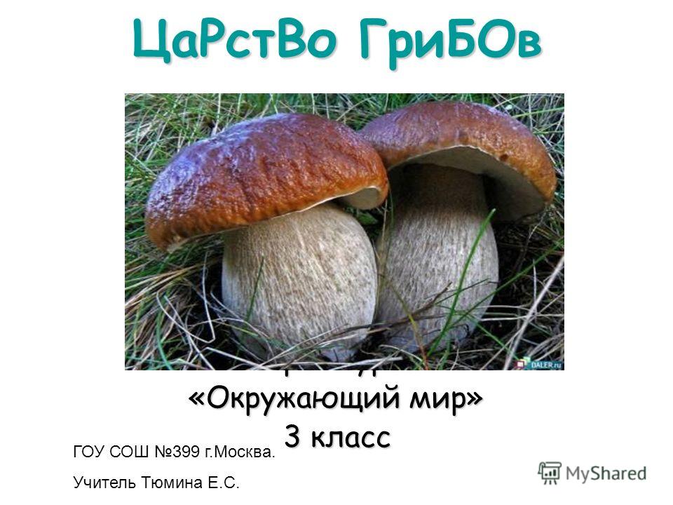 Скачать бесплатно конспект урока по окружающему миру в 3 классе в царстве грибов