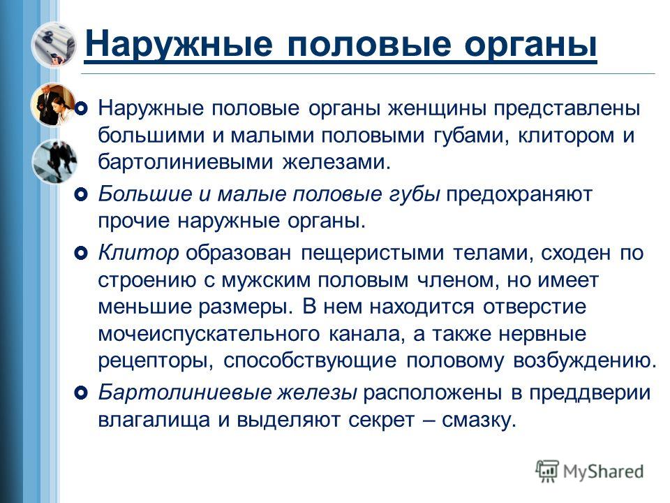 Кончают в рот домашнее видео