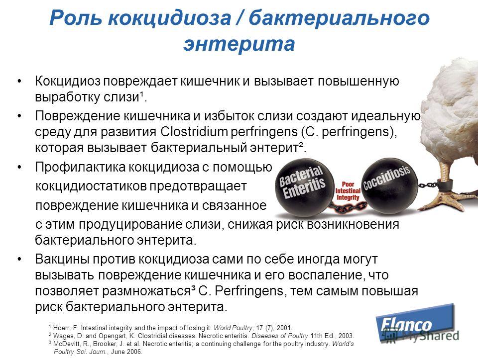 Что заставит работать кишечник самостоятельно Что заставит работать кишечник самостоятельно