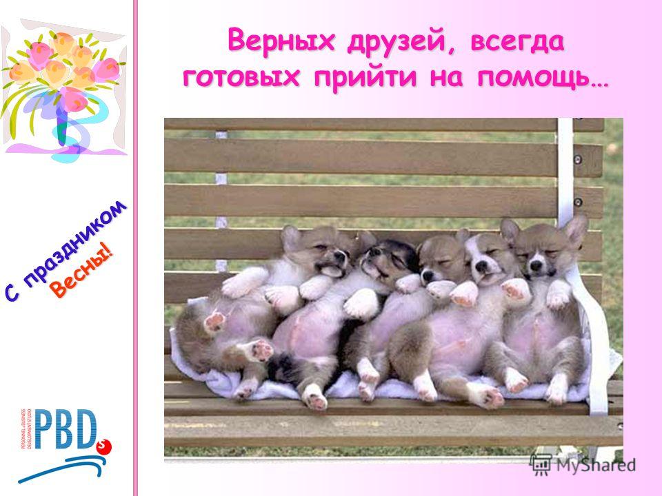 Картинки весны для друзей Картинки весны для друзей