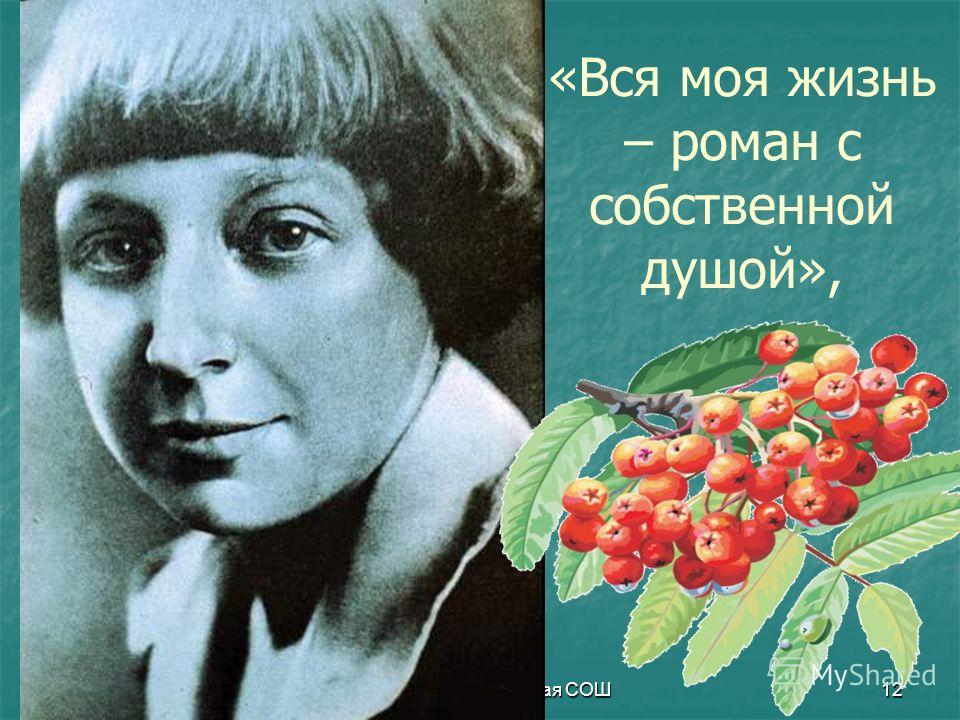 Цветаева астры