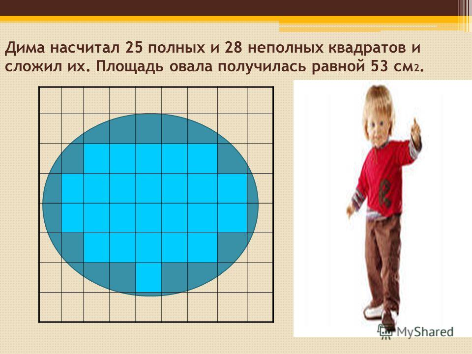 Дима насчитал 25 полных и 28 неполных квадратов и сложил их. Площадь овала получилась равной 53 см 2.