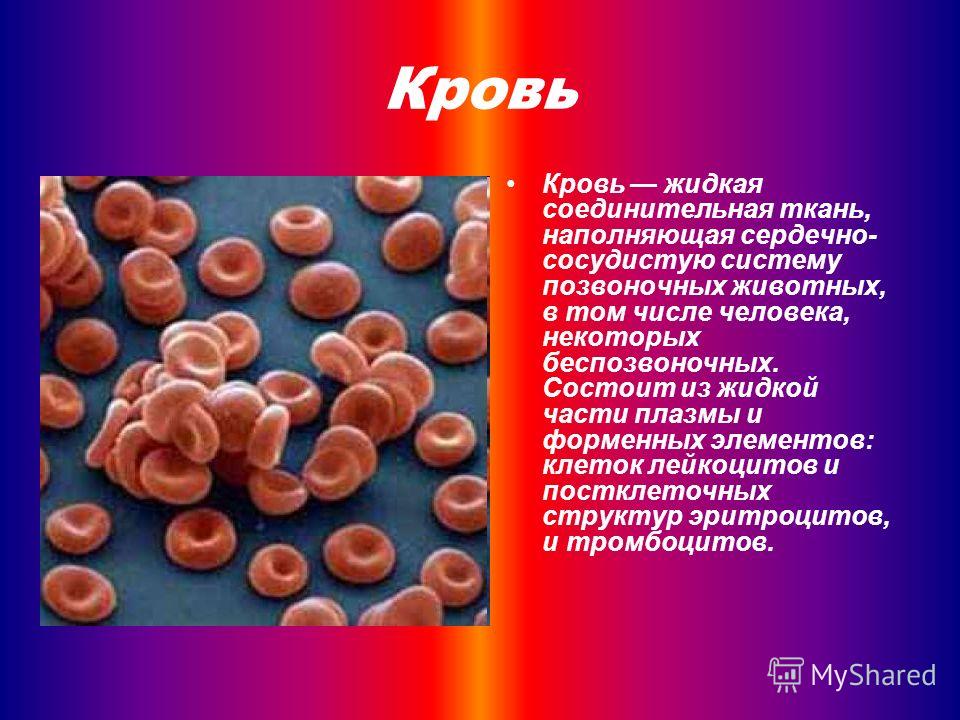 Как кровь сделать жиже Как кровь сделать жиже
