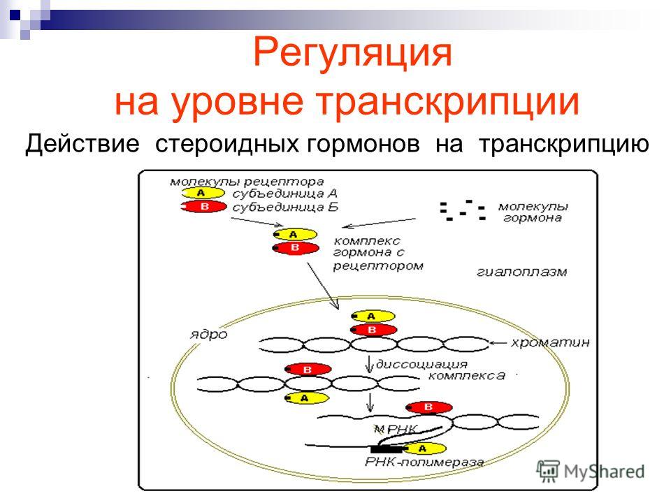 Суть трансляции: найдено 81 изображений