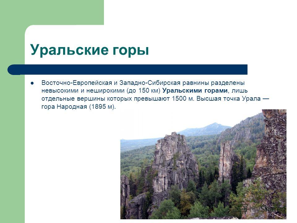 Уральские горы Восточно-Европейская и Западно-Сибирская равнины разделены невысокими и неширокими (до 150 км) Уральскими горами, лишь отдельные вершины которых превышают 1500 м. Высшая точка Урала гора Народная (1895 м).