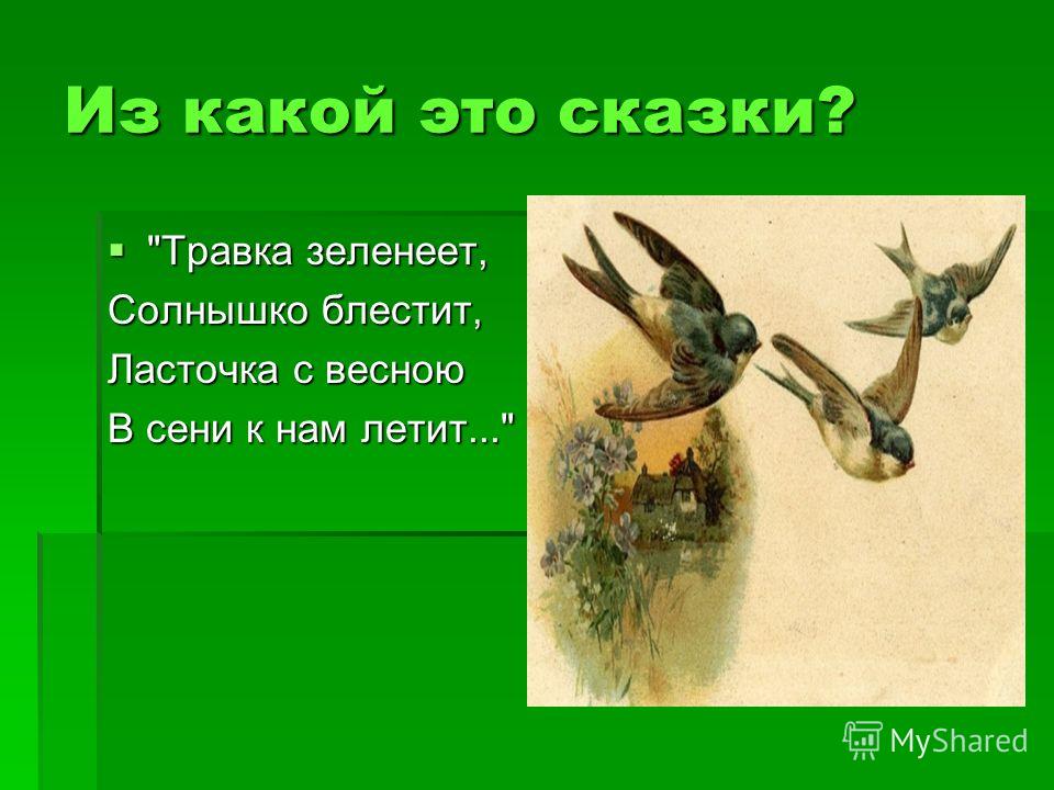 Стих учит ласточка с весною Стих учит ласточка с весною