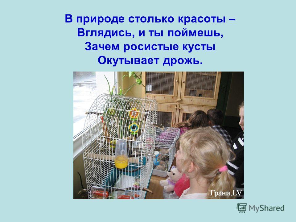В природе столько красоты вглядись и ты В природе столько красоты вглядись и ты